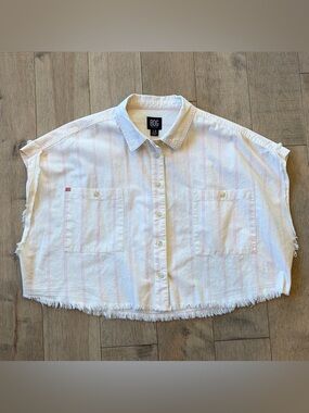 Women’s Boxy Fray Top BDG Cotton Crop Button Down Collar Pink Stripes NWOT LRG